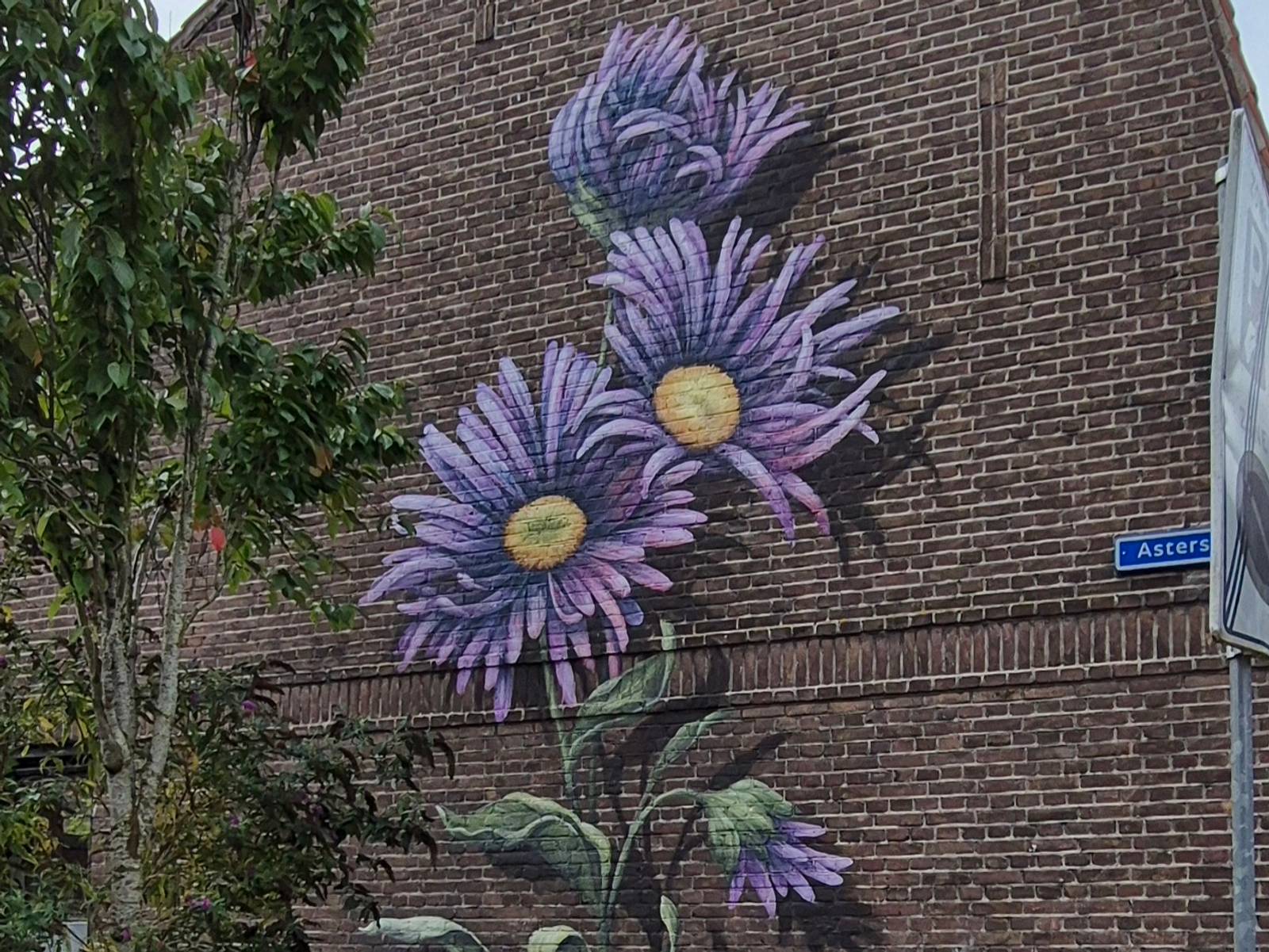 Lonneke van Zutphen—undefined