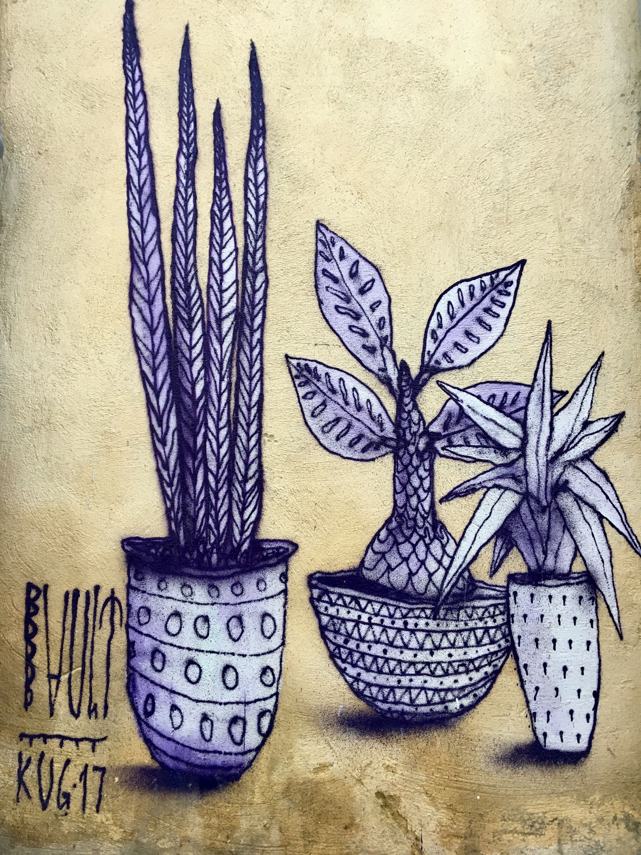 Bault&mdash;Plants-Rue de Tunis