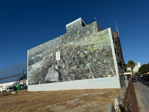 Feed item
