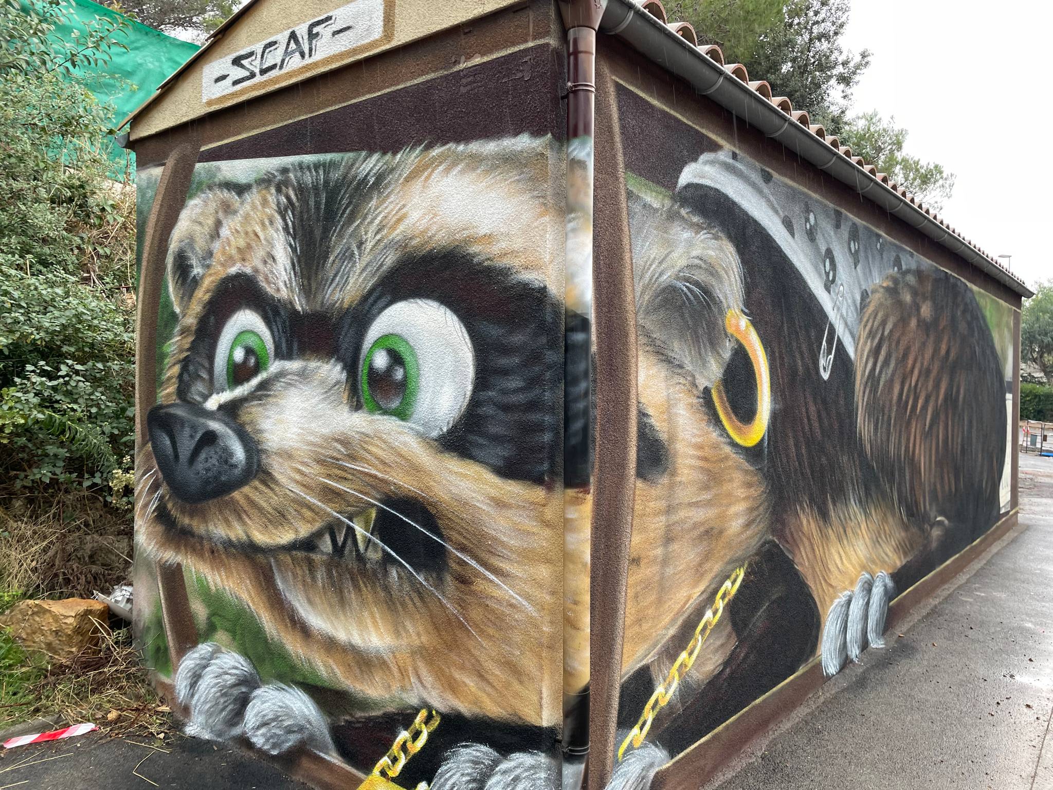 Scaf&mdash;3D Raccoon