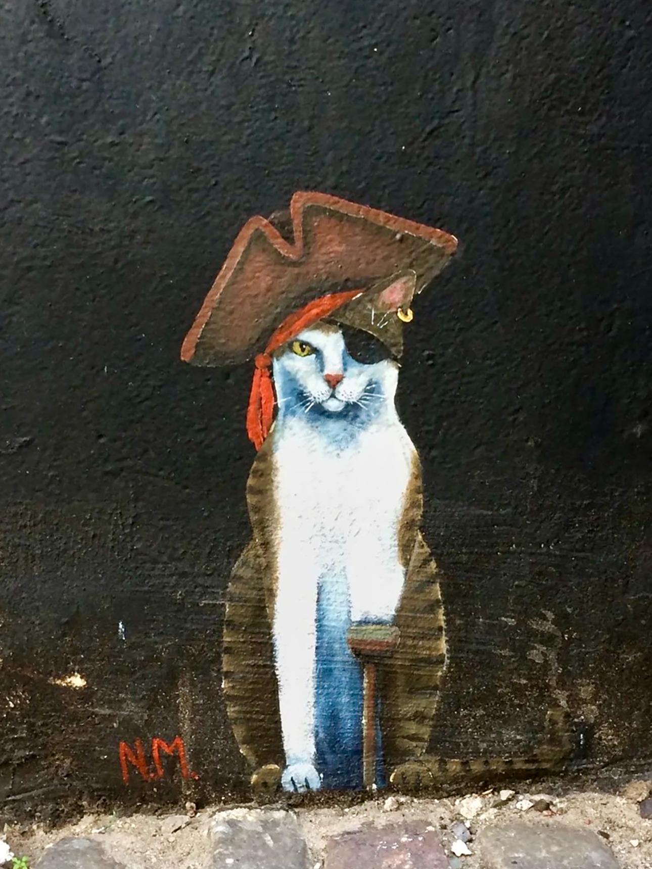 N.M.—Piratenkatze
