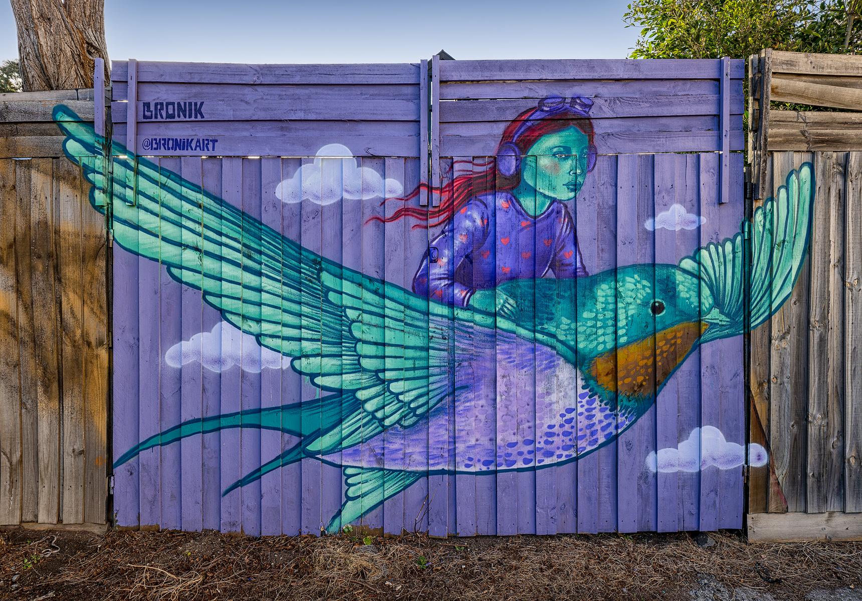 BRONIK—Dreams Take Flight