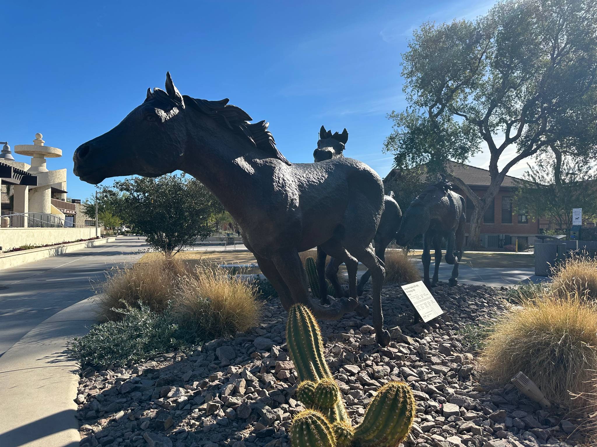 GEORGE-ANN TOGNONI&mdash;The Yearlings