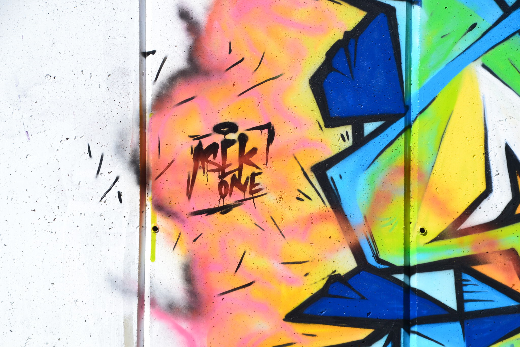 ASEK ONE&mdash;TAG