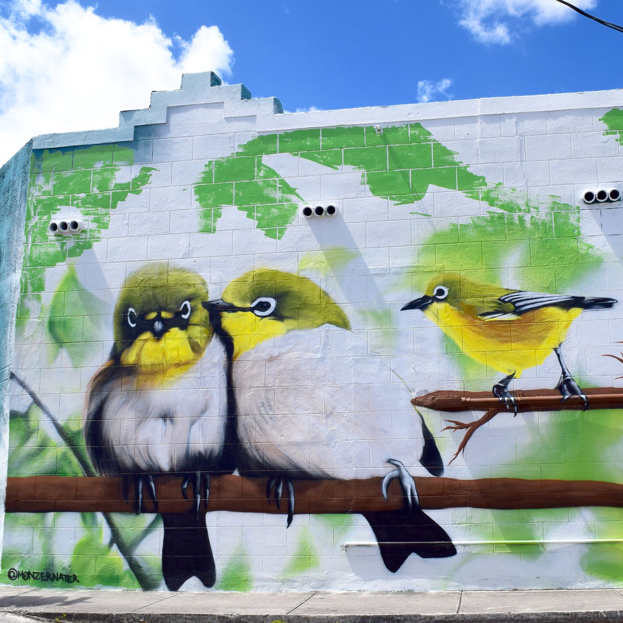 Monzernater&mdash;Birds by Miami-based artist Monzernater