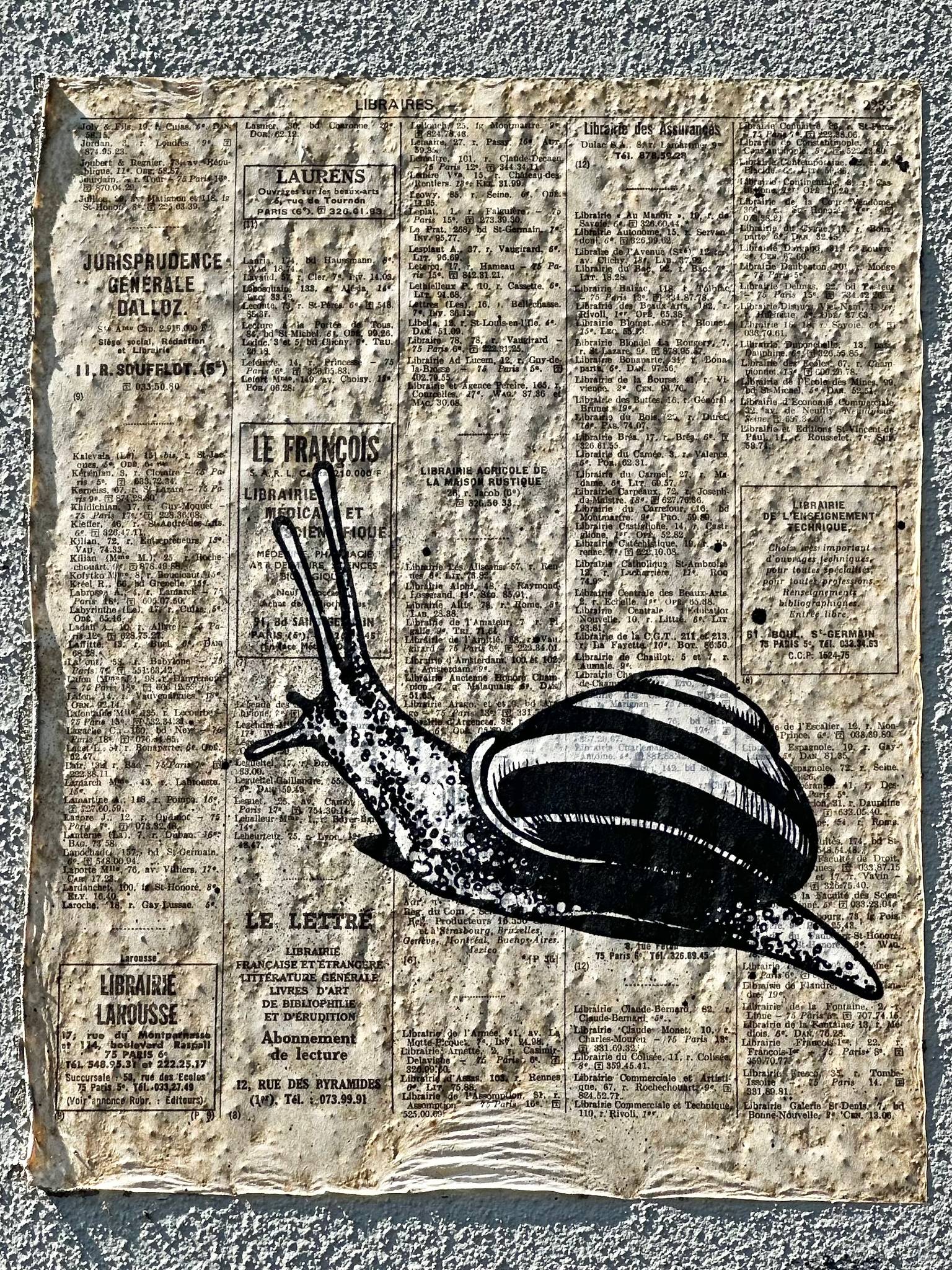 Unknown - Zürich&mdash;Snail on wall