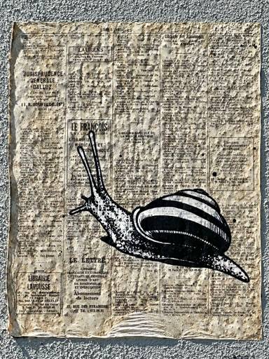 Snail on wall