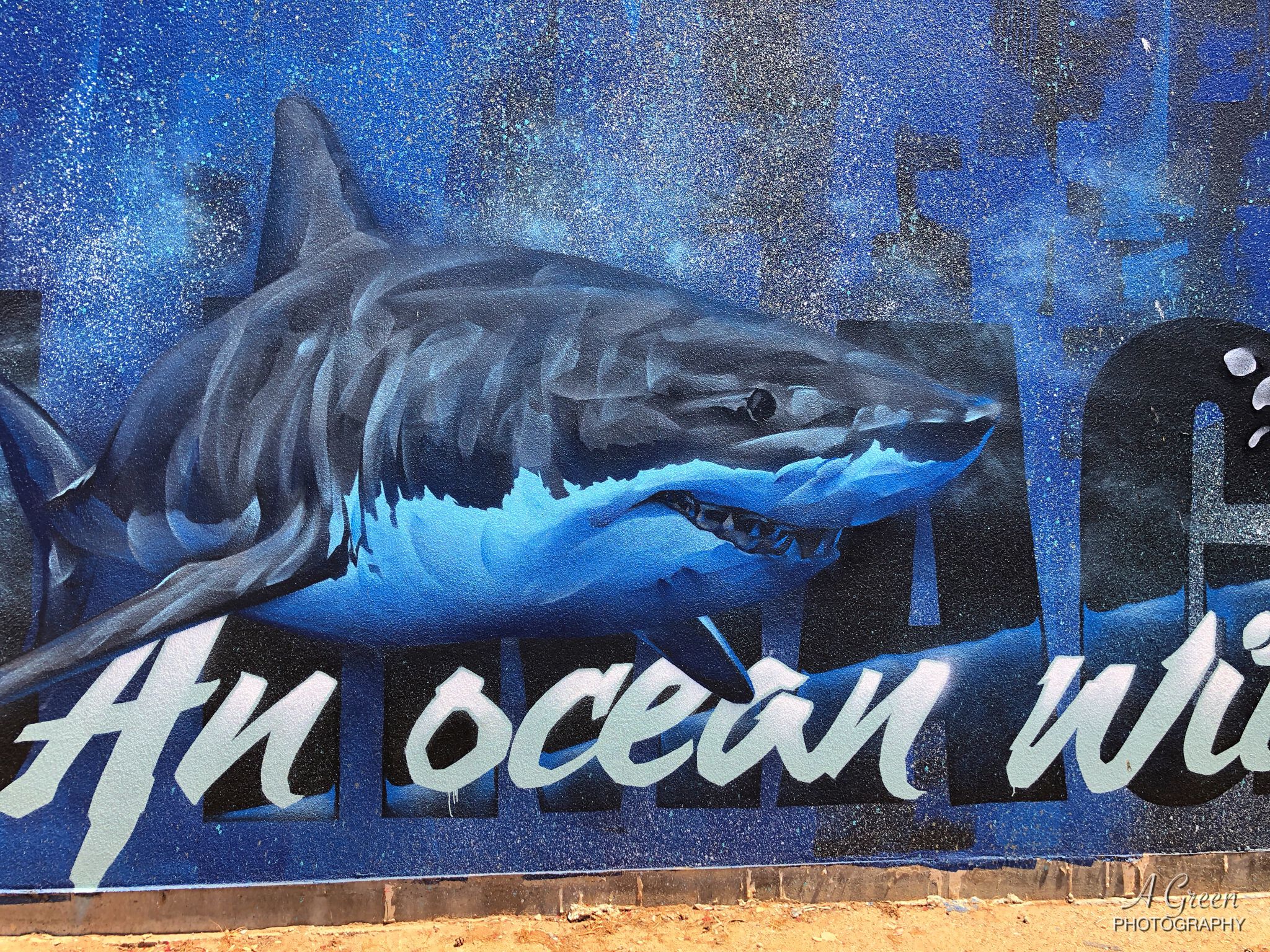 Andrew J Bourke&mdash;Sharks, an ocean without them