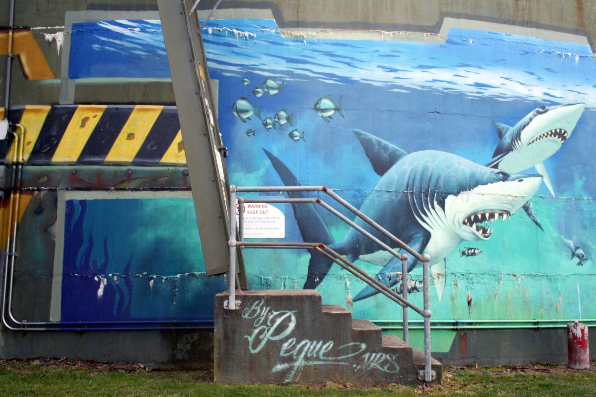 Peque&mdash;Katoomba Water Tank Art