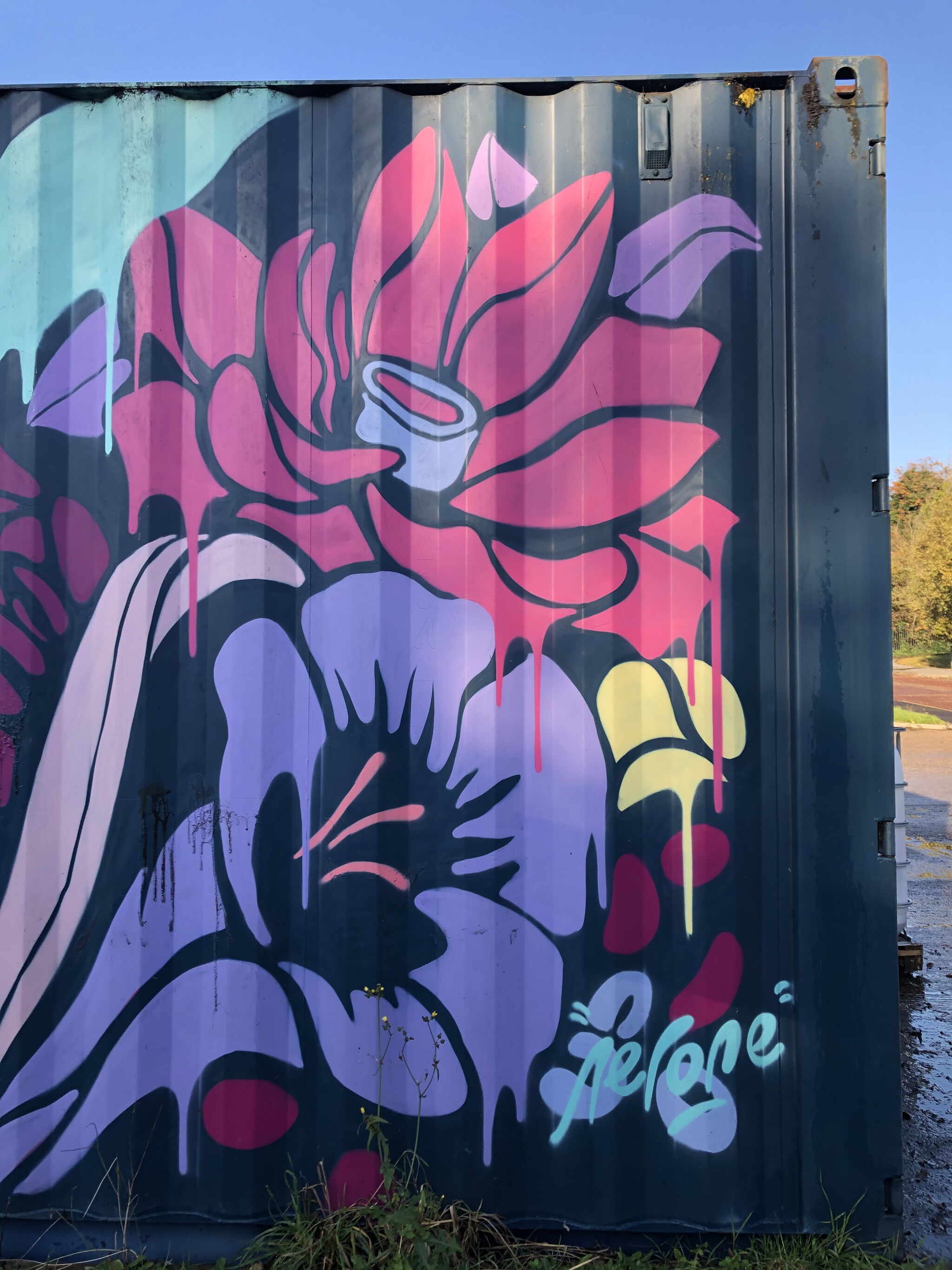 nerone&mdash;Cool Sprayed Street Art on Container
