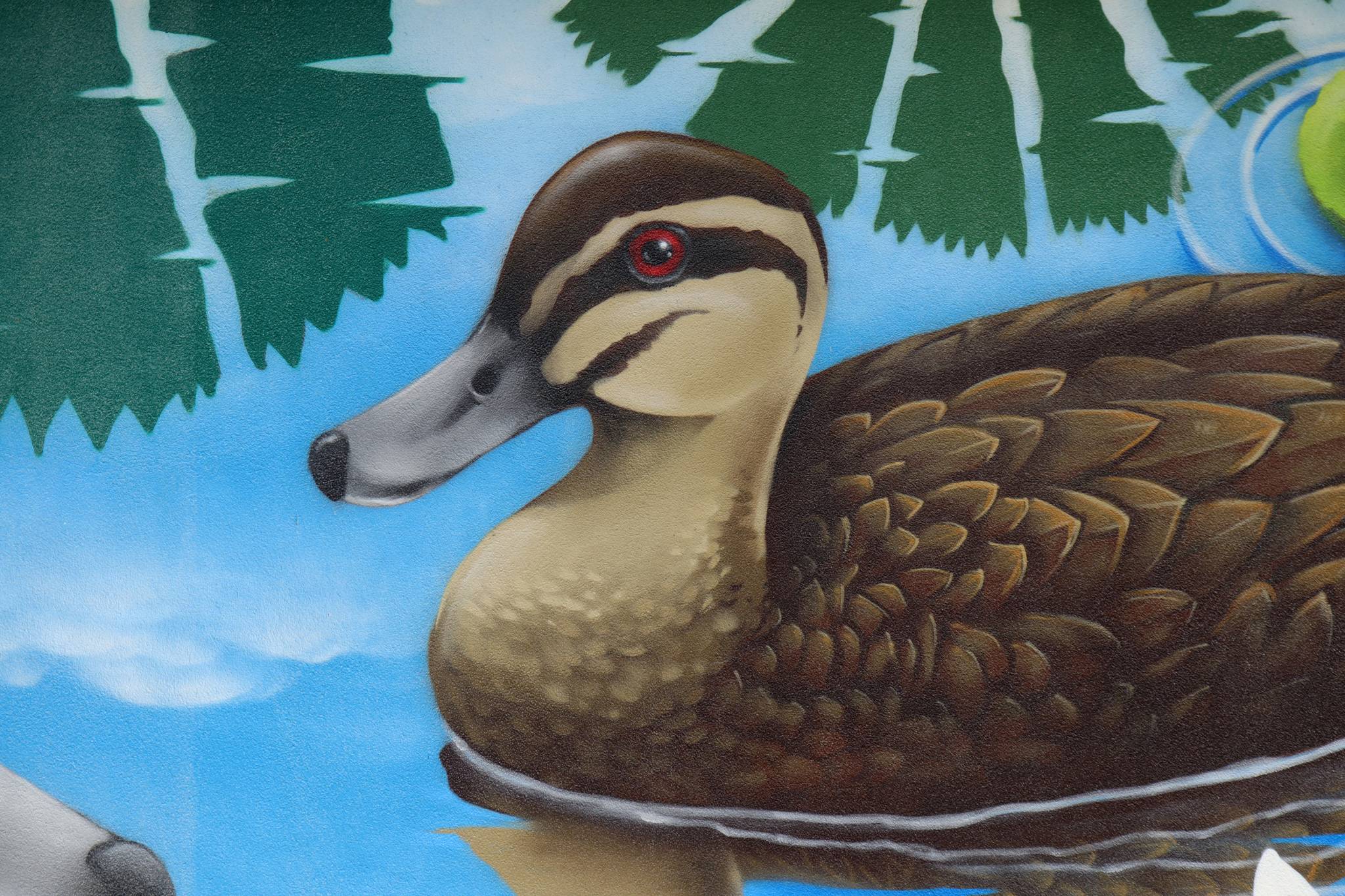 Daniel Wallwork&mdash;Duck Park