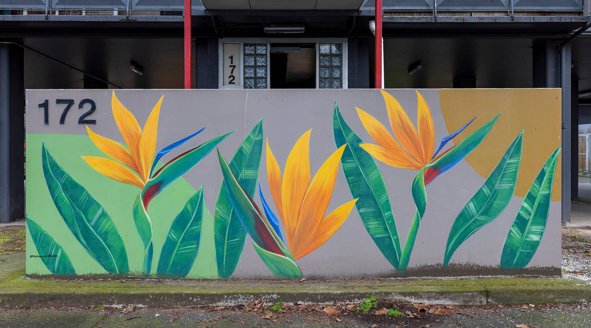 Melbourne's Murals&mdash;Birds of Paradise