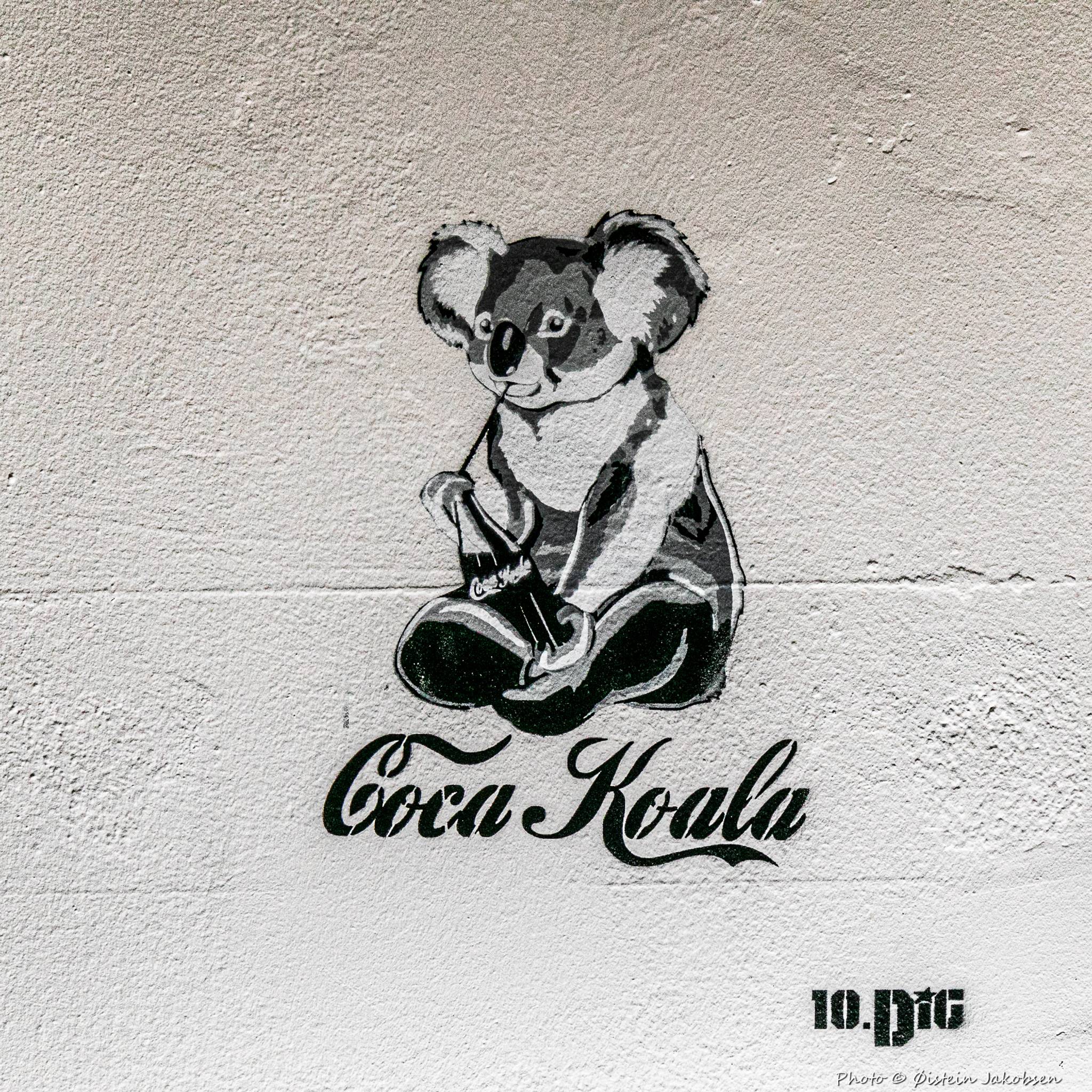 10.Dig&mdash;Coca Koala