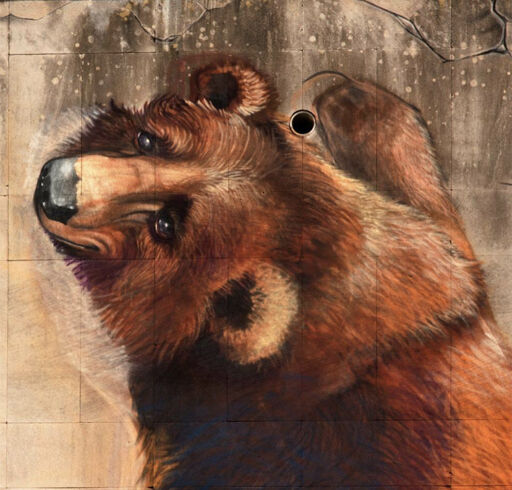Love the brown bear