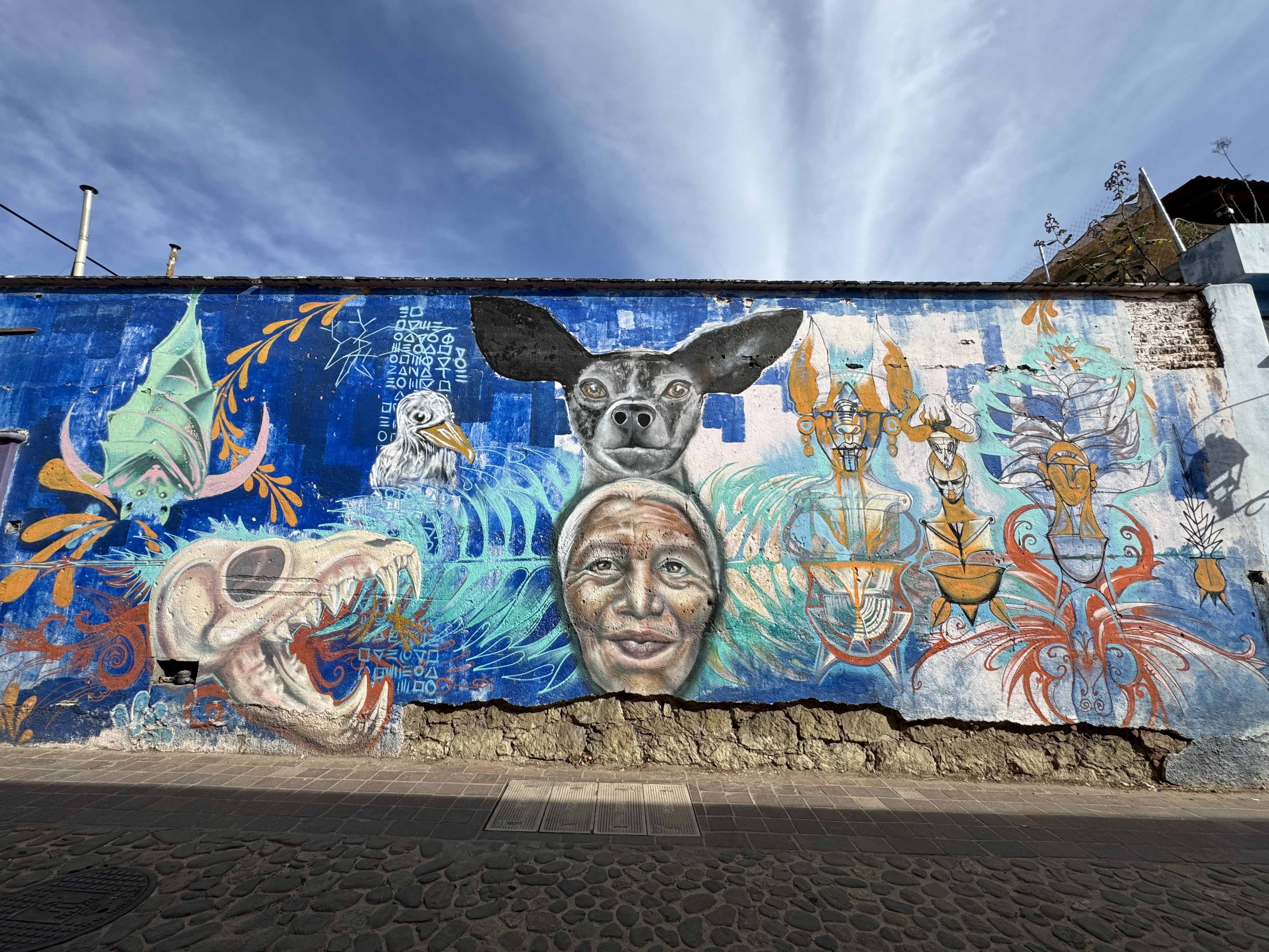 アート・デザイン・音楽 Oaxaca アート・デザイン・音楽 Oaxaca Oaxaca's revolutionary street