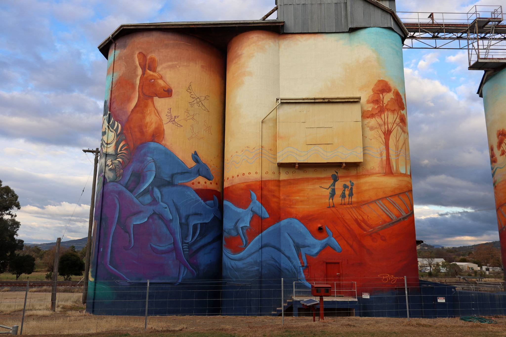 Peter Ryan&mdash;Quirindi Silo Art