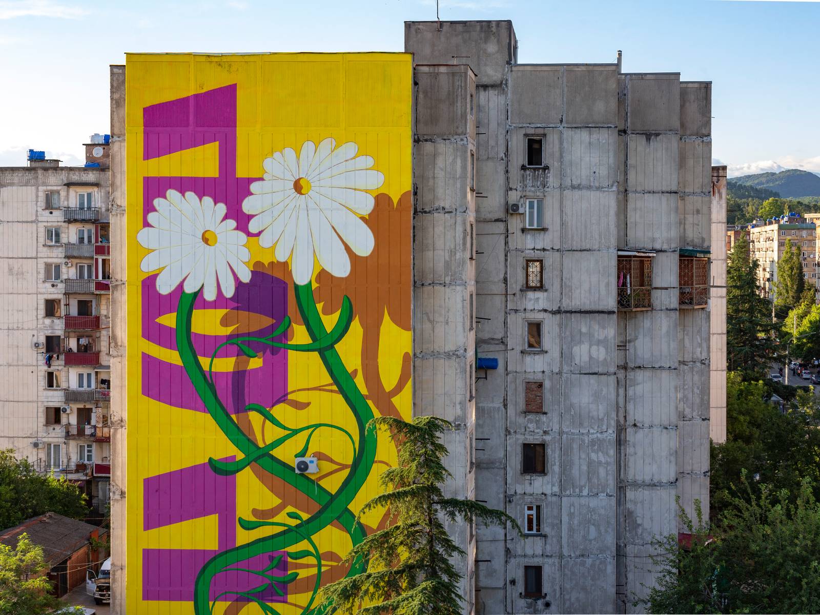 Oto Mikadze, Irine Kimberg—Gviriloba