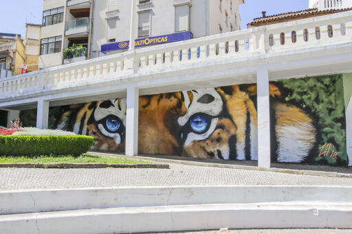Tigre