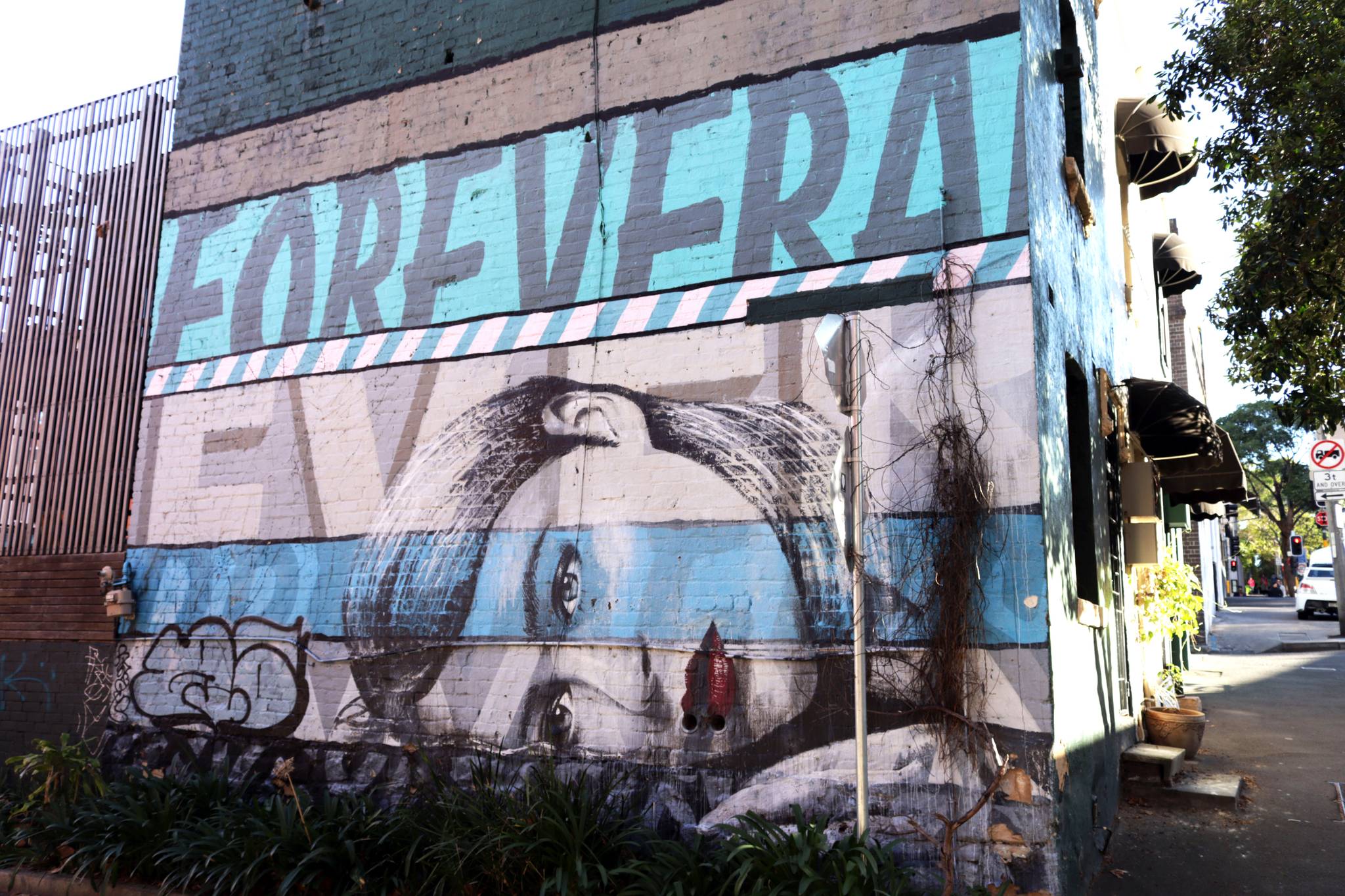 Funskull, Rone&mdash;Forever and Ever Dreamer