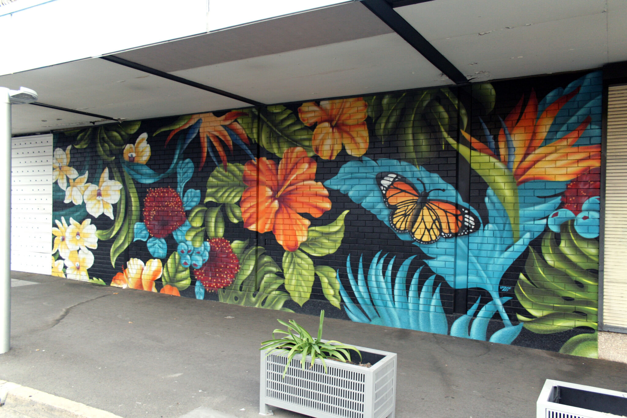 Urban Art Australia&mdash;Street Facade