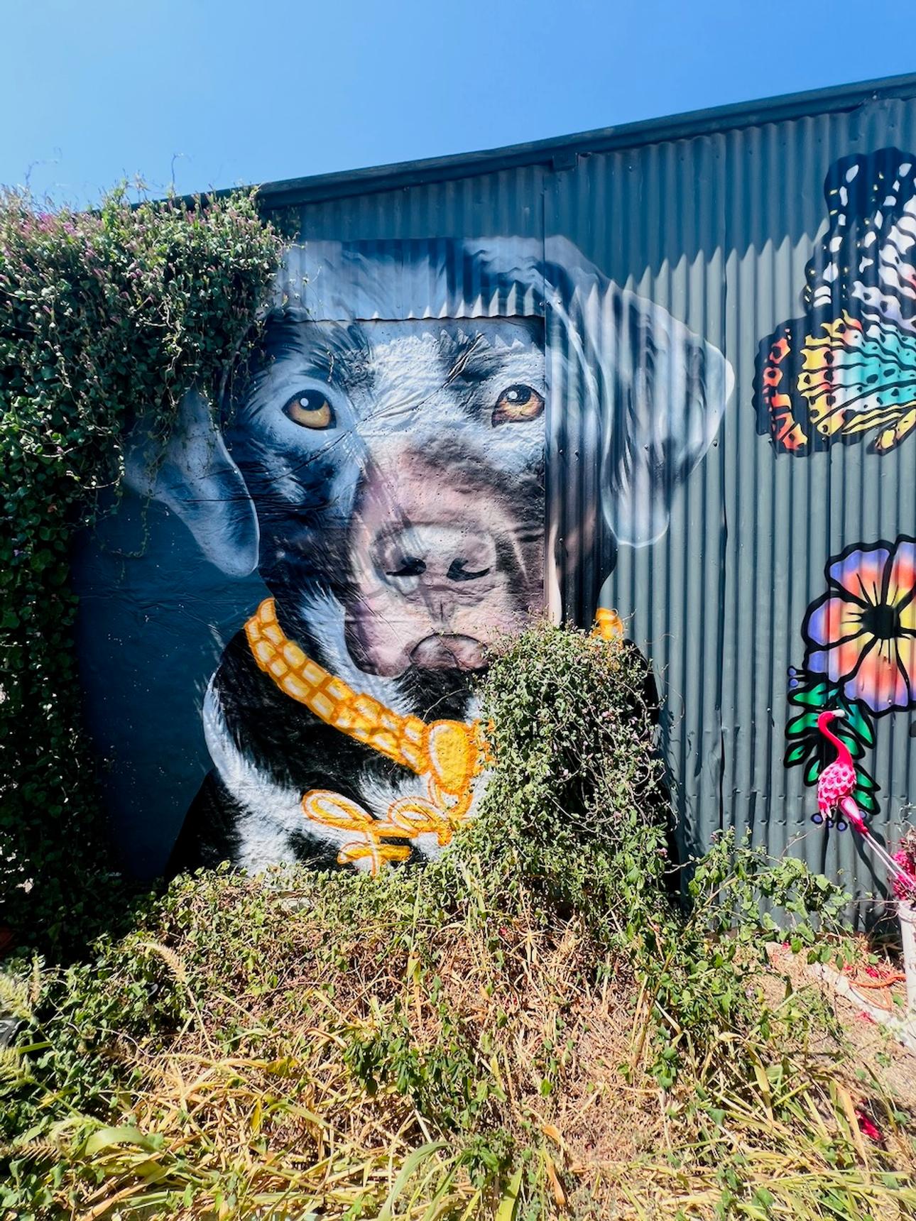 Unknown - Austin—undefined