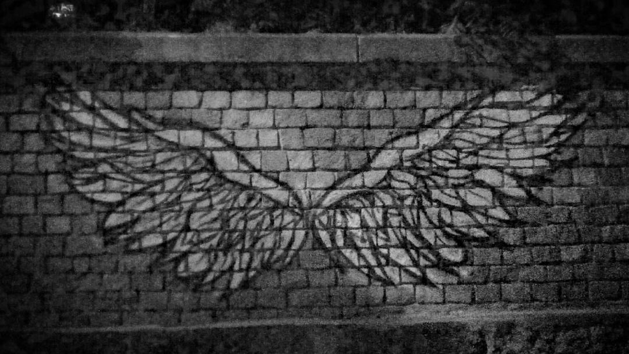 &mdash;Angel wings/Крила ангела/Крылья ангела