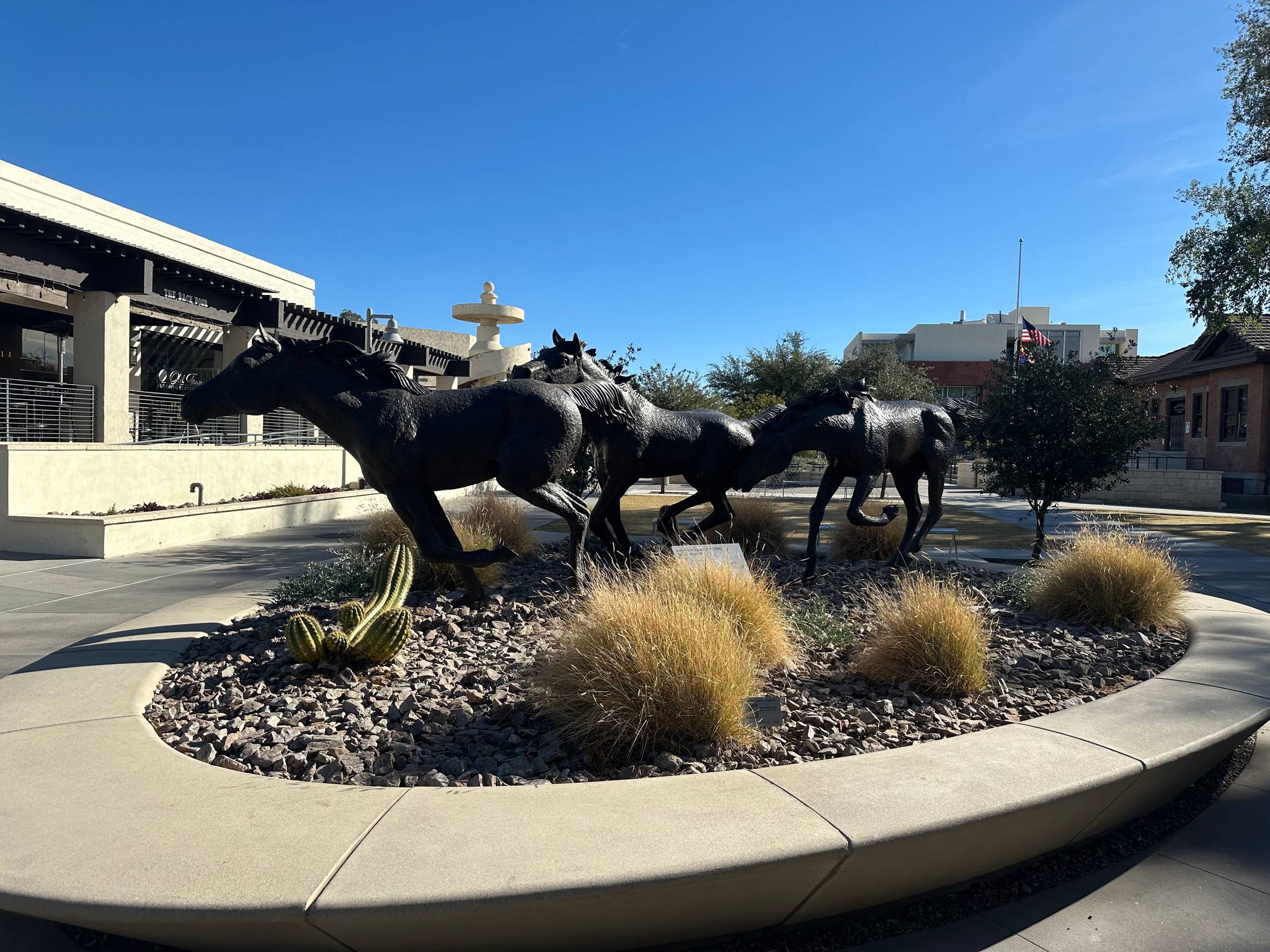 GEORGE-ANN TOGNONI&mdash;The Yearlings