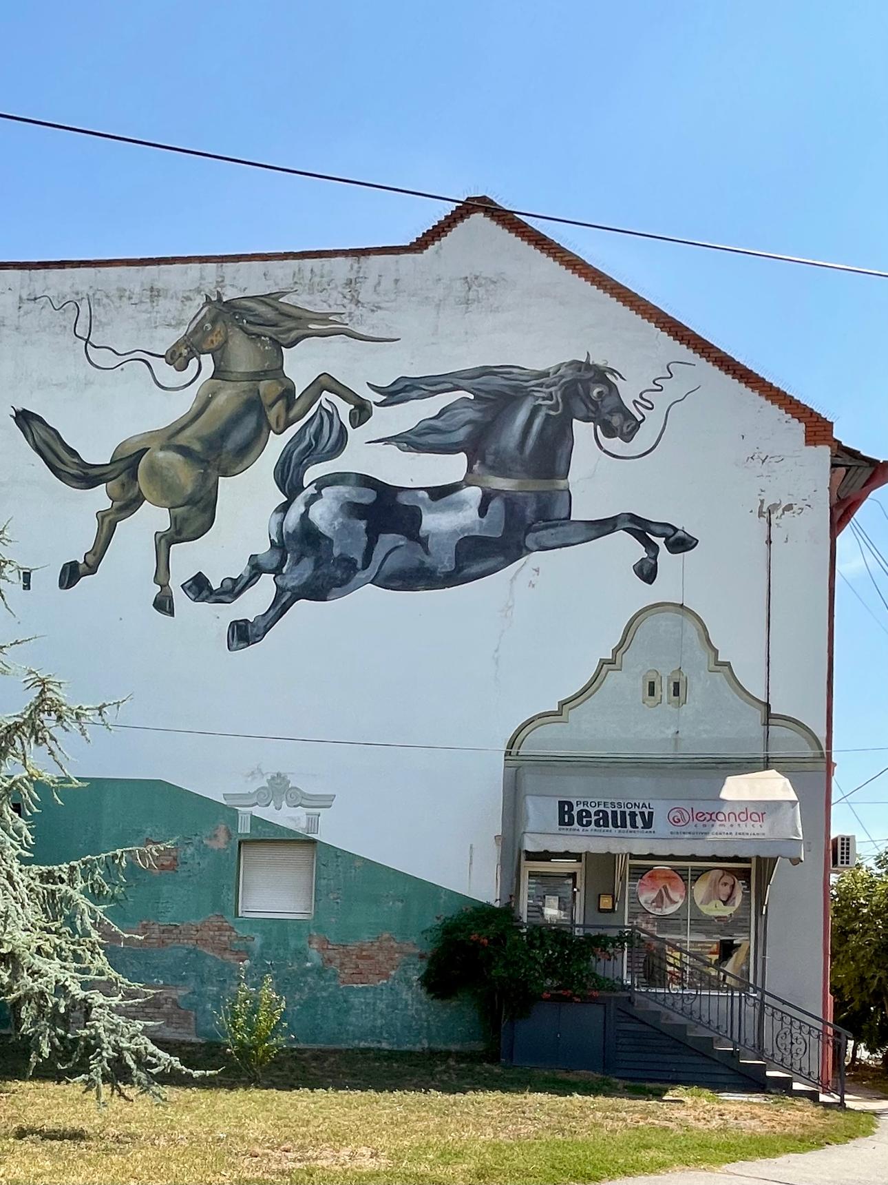 Milutin Micic—Četir' konja debela