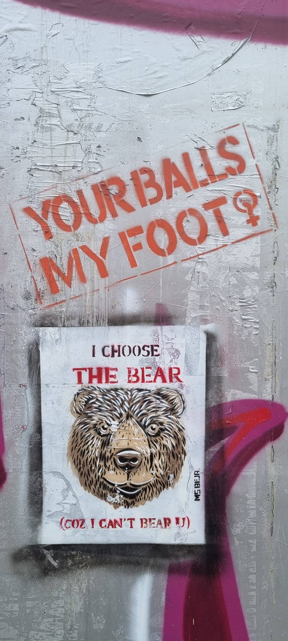 MS Béja&mdash;I choose the bear