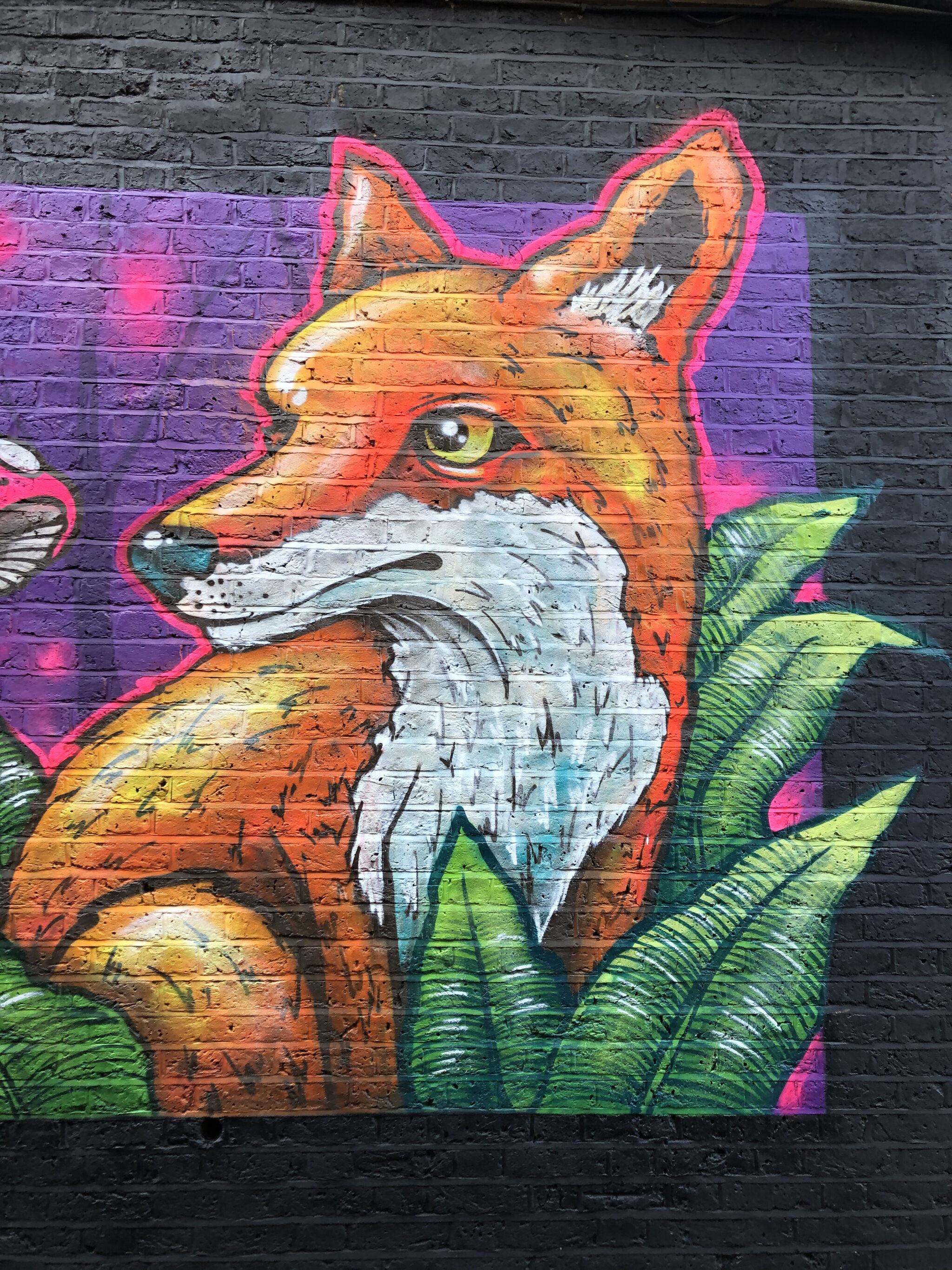 AeroArts&mdash;The Owl and Fox Wall