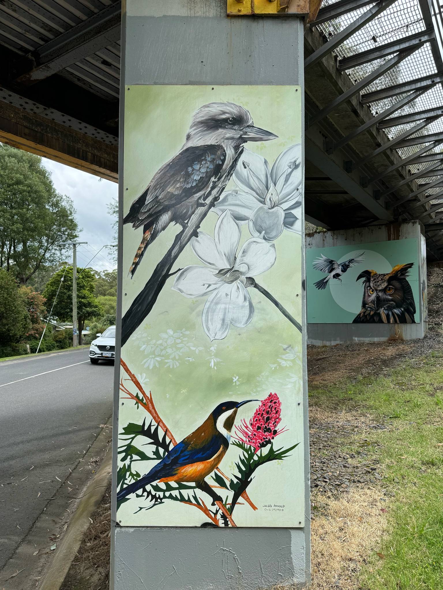 Jacob Arnold&mdash;Kookaburra / Eastern Spinebill