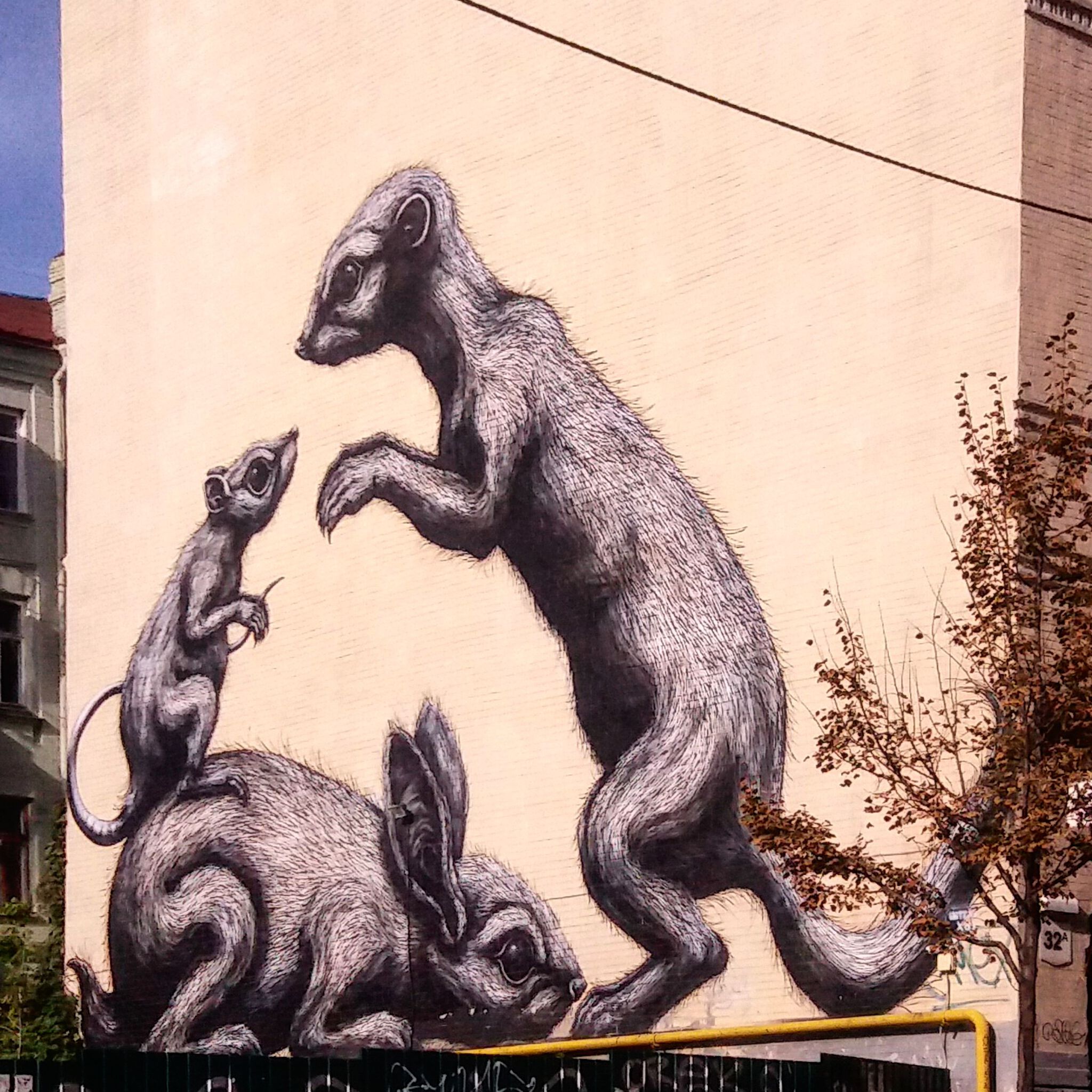 Roa&mdash;Rabbit, Rat and Mongoose 