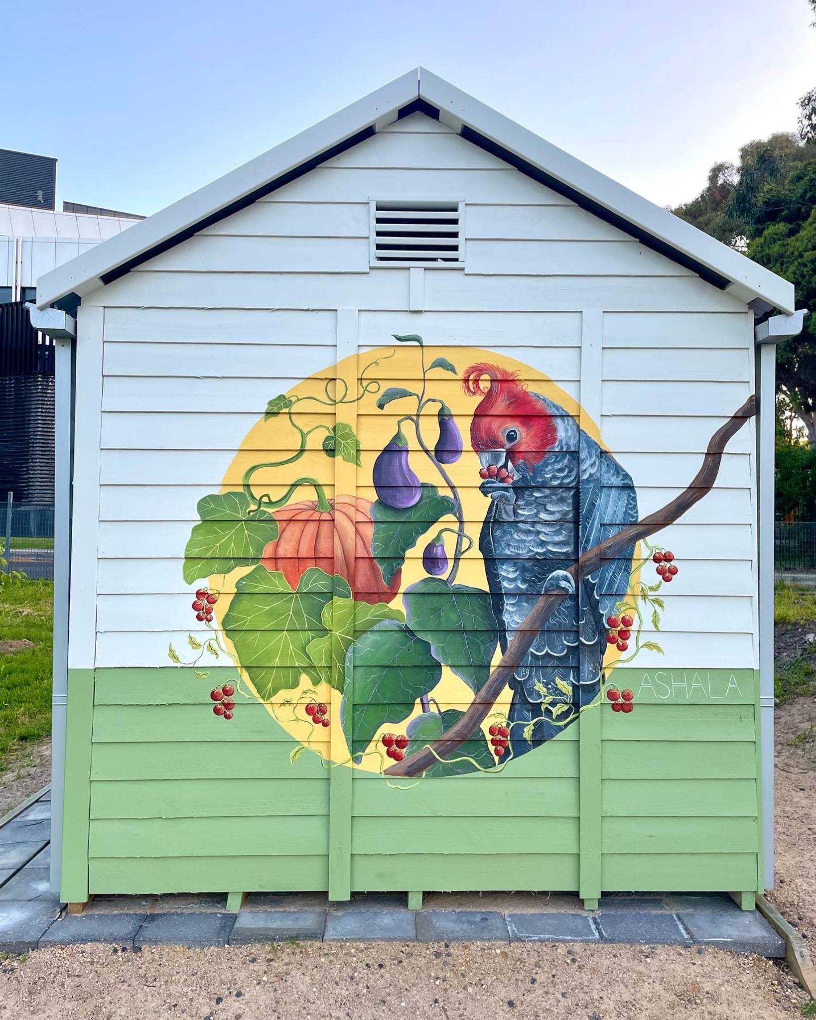 Ashala Creations &mdash;Doncaster Hill Community Garden