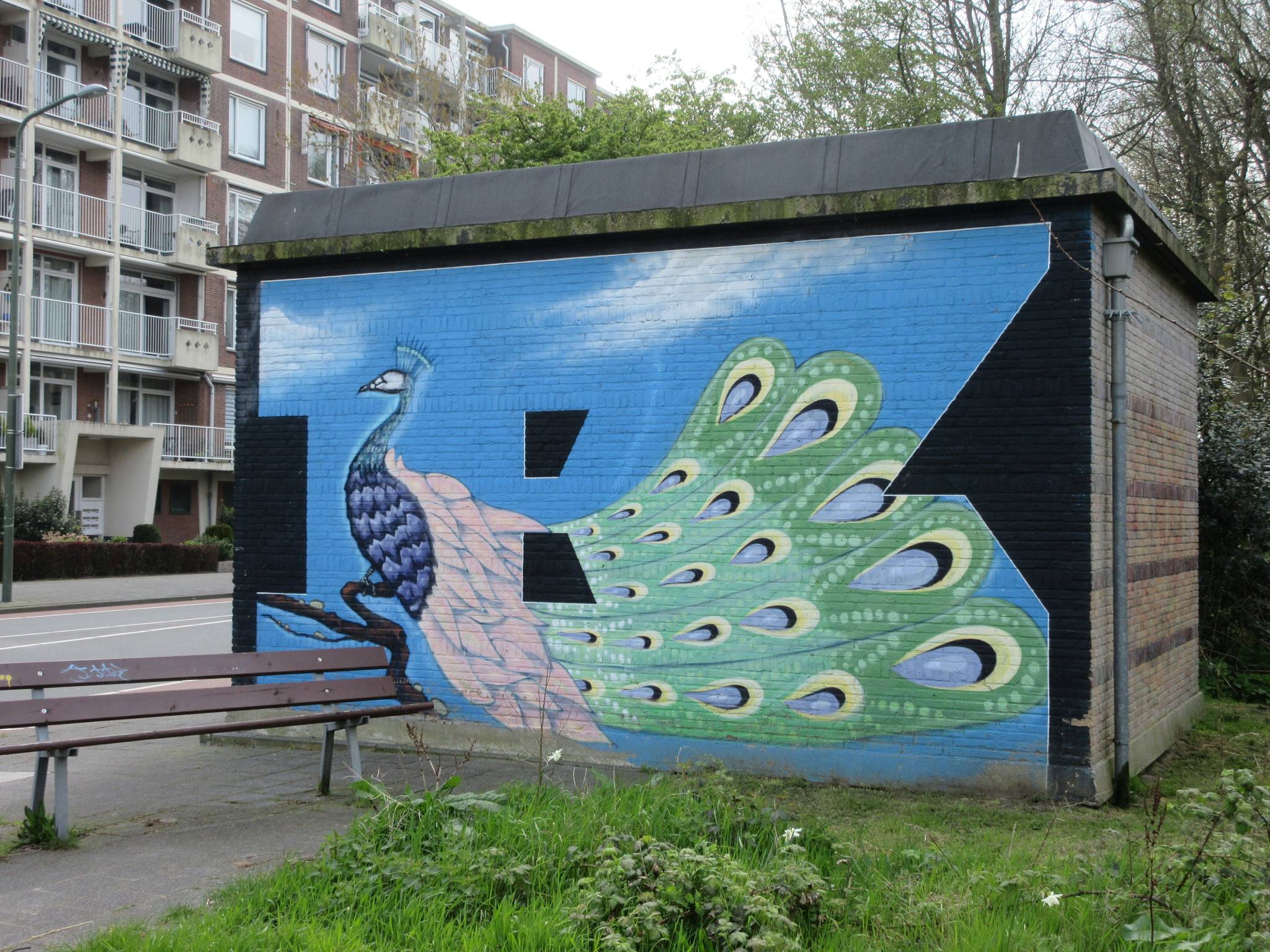 Unknown - Den Haag&mdash;Peacock