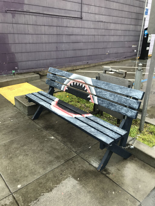 Shark Bench